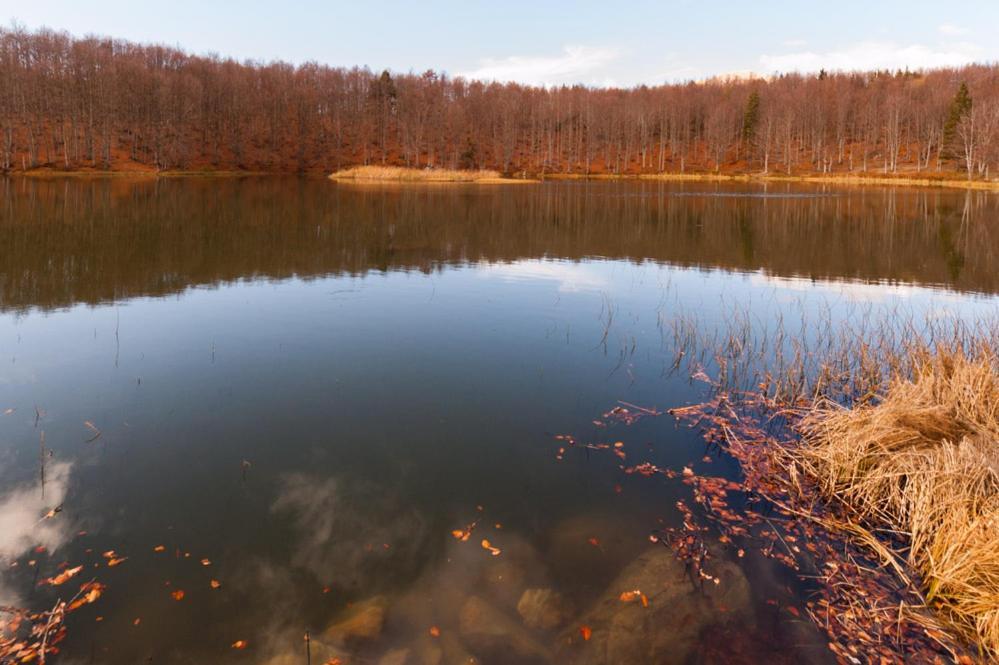 Bed and Breakfast Viandanti, Artisti E Sognatori Comano  Zewnętrze zdjęcie